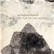 My Brightest Diamond - From The Top Of The World