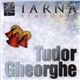 Tudor Gheorghe - Iarna Simfonic